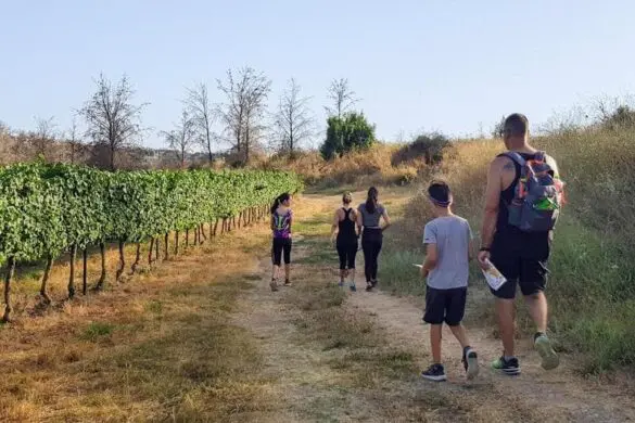 תמונות פעילות של "עגור אירועי ניווט" - ימי כיף וגיבוש למשפחות וקבוצות