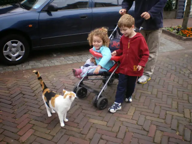 הולנד עם ילדים