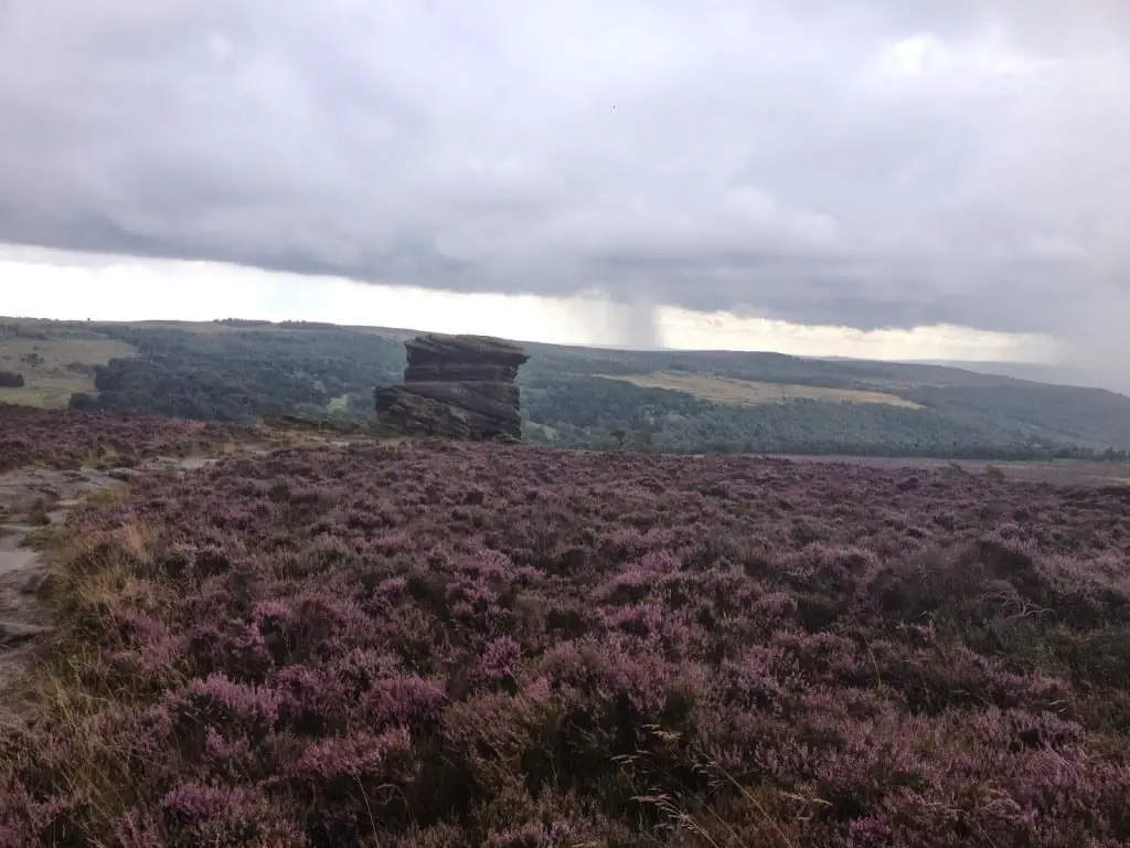 פיק דיסטריקט