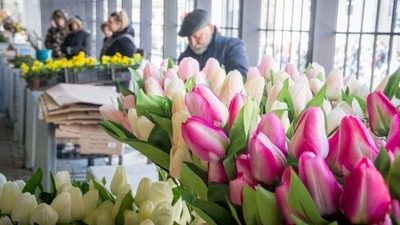 וילנה של עופר קידר. צילום: עופר קידר