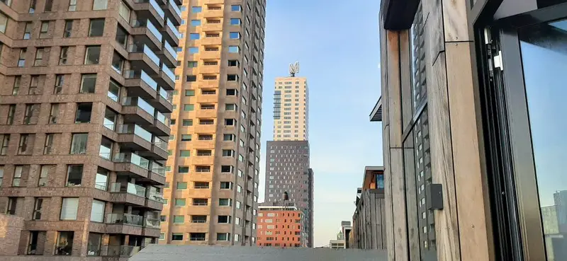 סיור אדריכלות ברוטרדם